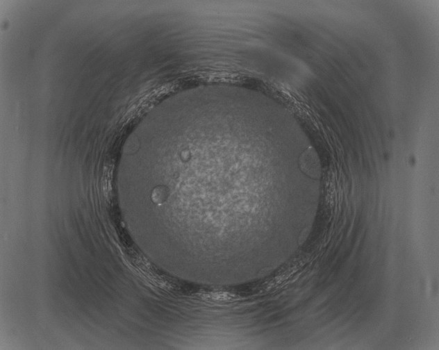 X0000082730695200702091838