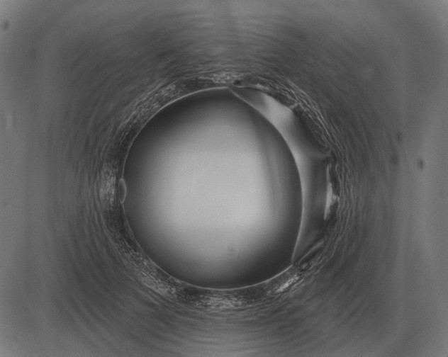 X0000082730697200702091838