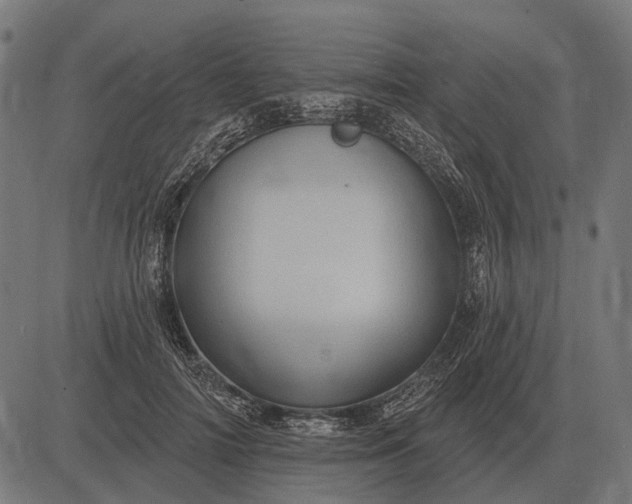 X0000082730698200702091838