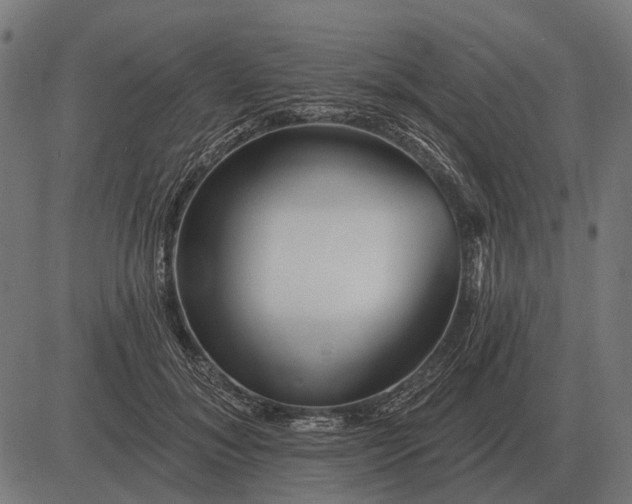 X0000082730700200702091838