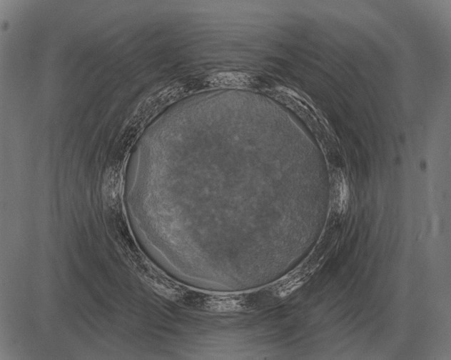 X0000082730701200702091838