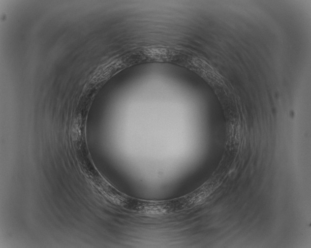 X0000082730702200702091838