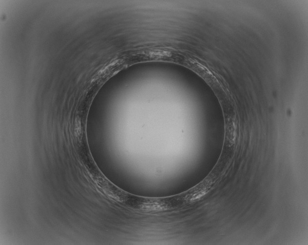 X0000082730704200702091838