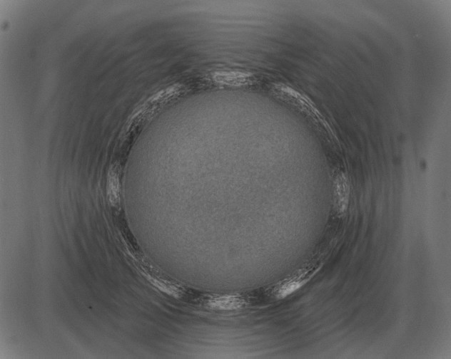 X0000082730705200702091838