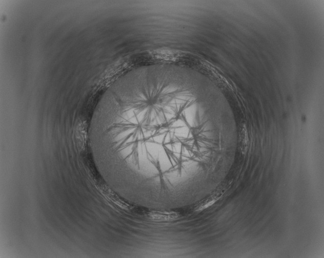 X0000082730707200702091838