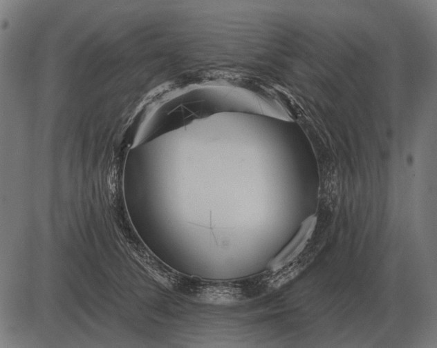 X0000082730708200702091838