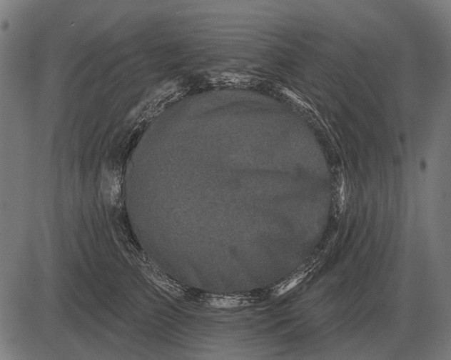 X0000082730709200702091838