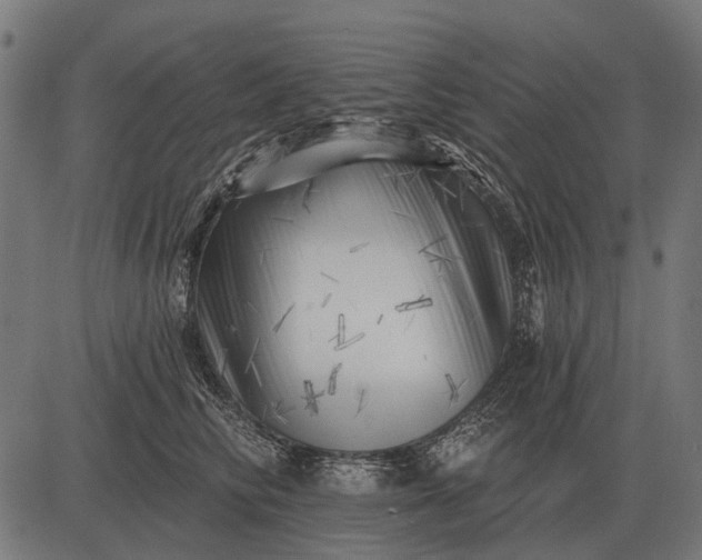 X0000082730710200702091838