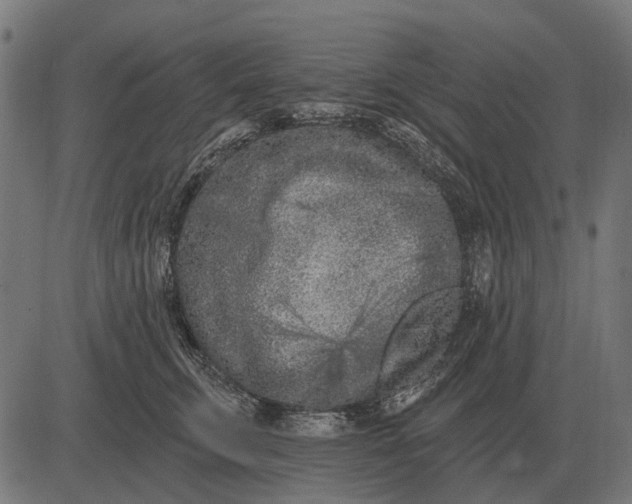 X0000082730711200702091838