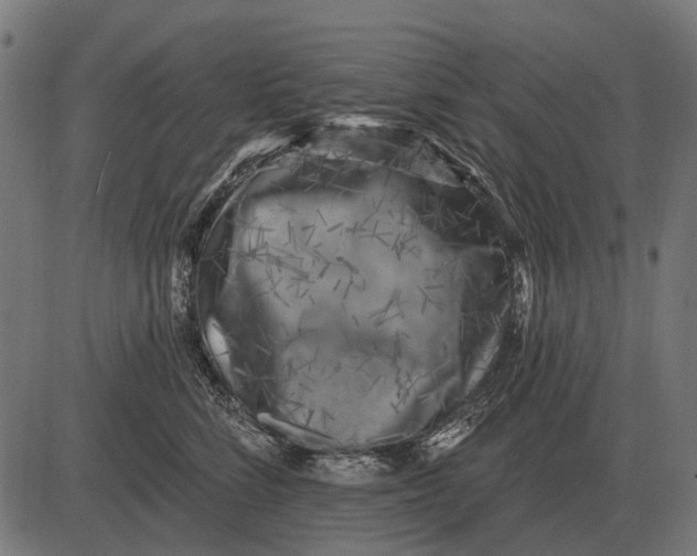 X0000082730712200702091838