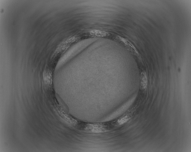 X0000082730713200702091838