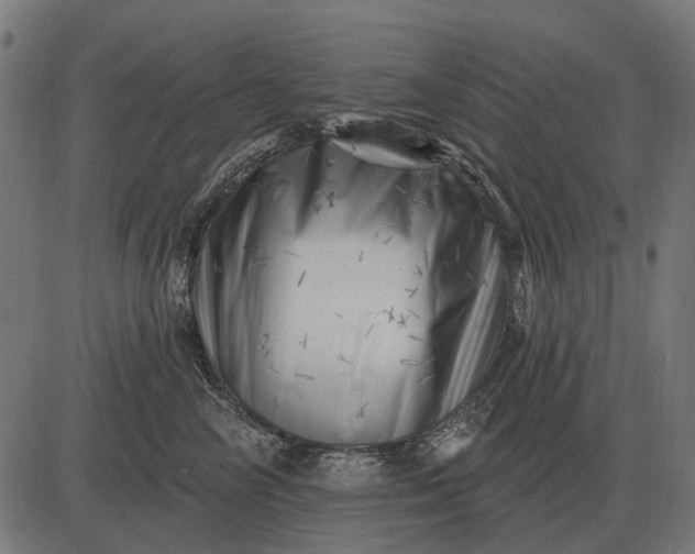 X0000082730714200702091838