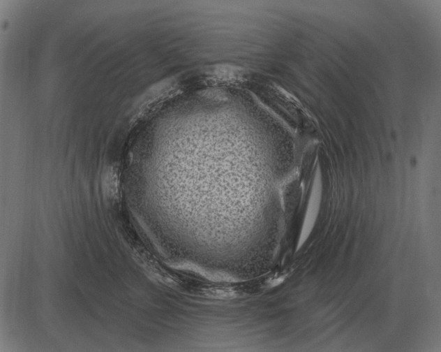 X0000082730715200702091838