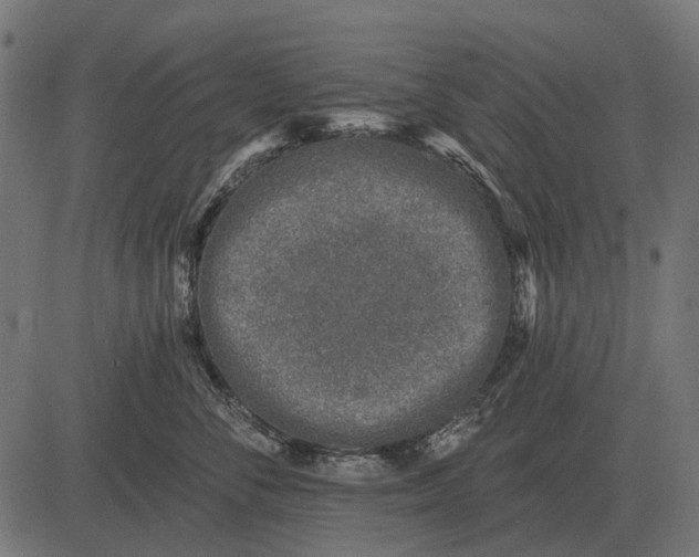 X0000082730716200702091838