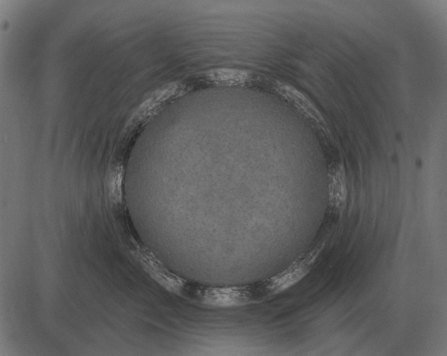 X0000082730717200702091837