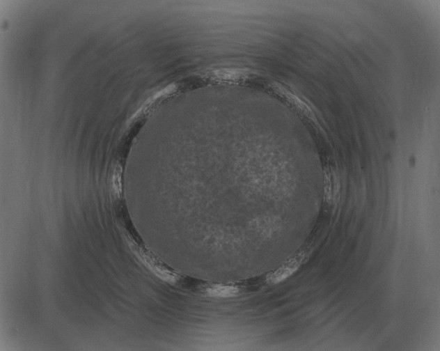 X0000082730718200702091837