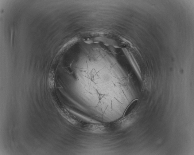 X0000082730719200702091837