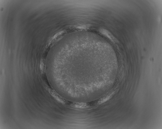 X0000082730720200702091837