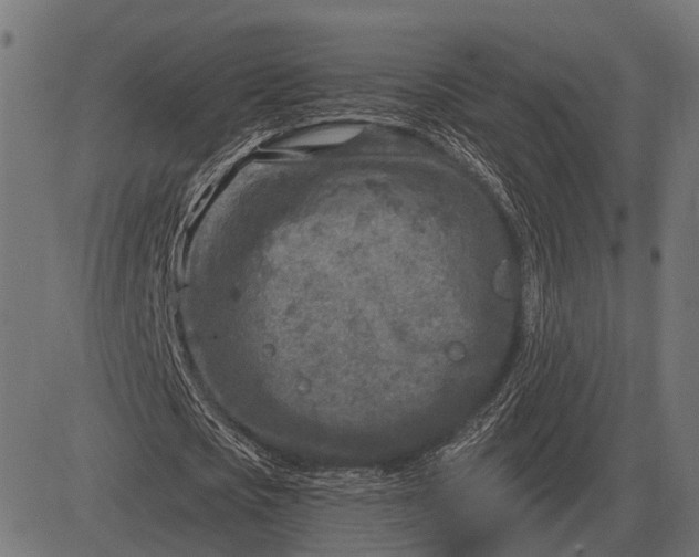 X0000082730721200702091837