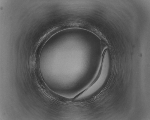 X0000082730722200702091837