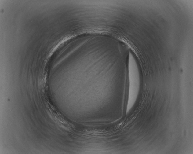 X0000082730723200702091837