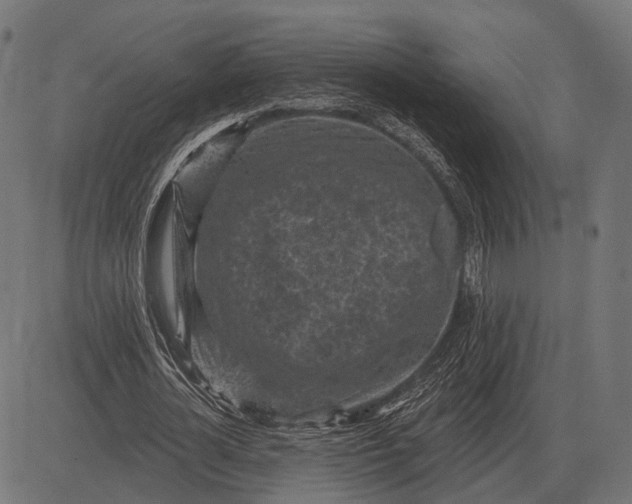 X0000082730724200702091837