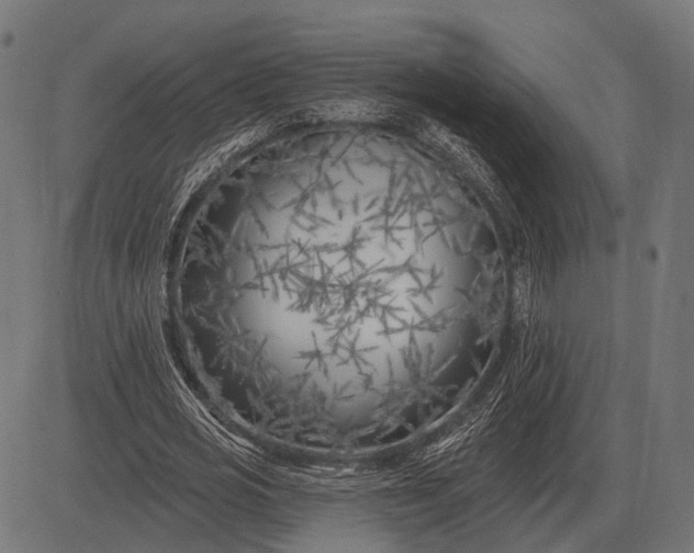 X0000082730725200702091837