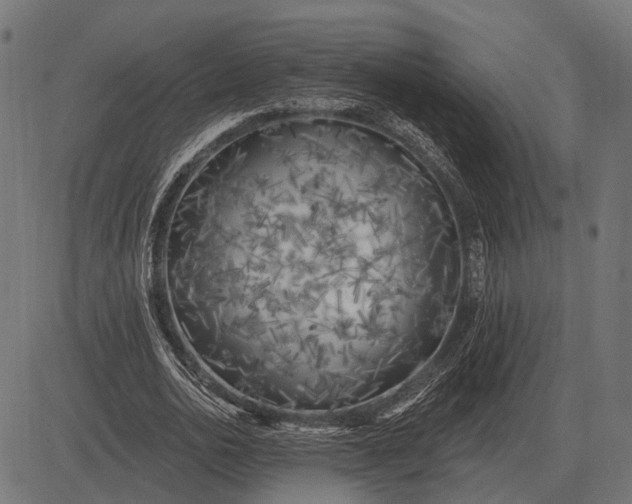 X0000082730726200702091837