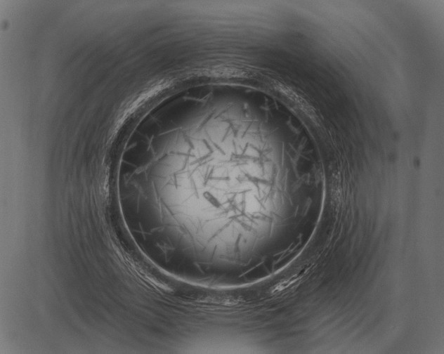 X0000082730727200702091837