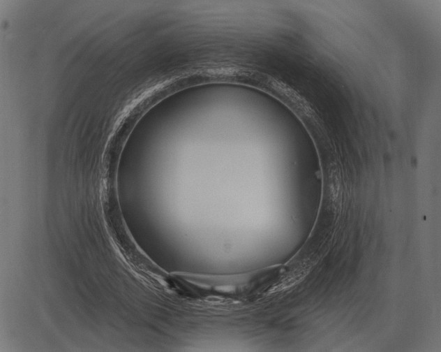 X0000082730728200702091837