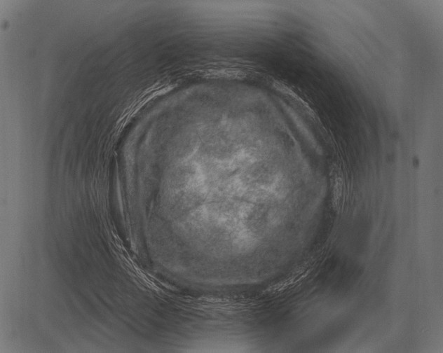 X0000082730729200702091837