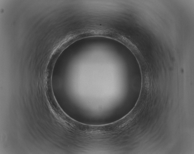 X0000082730730200702091837