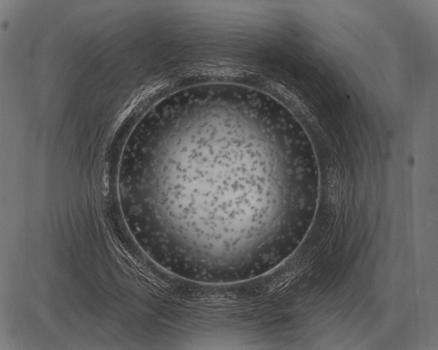 X0000082730731200702091837