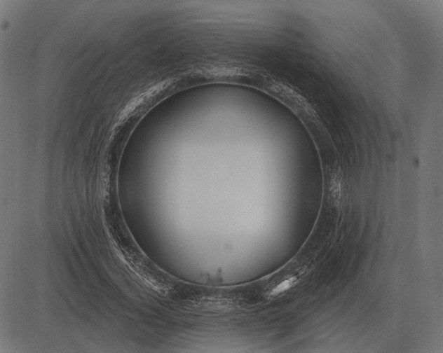 X0000082730732200702091837