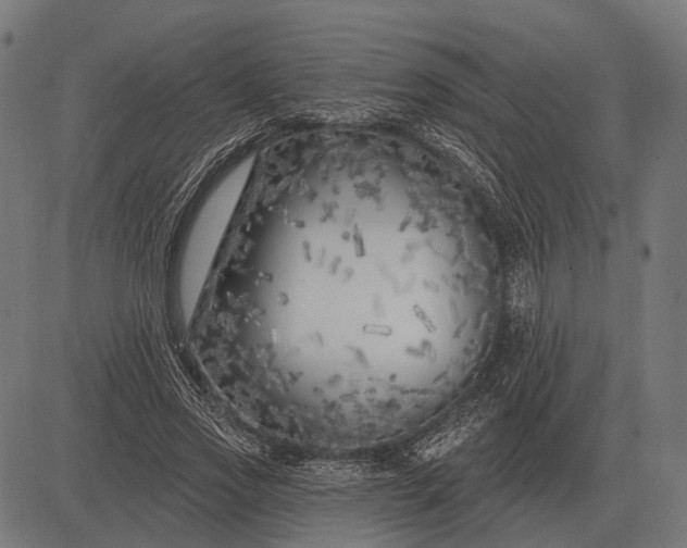 X0000082730733200702091837