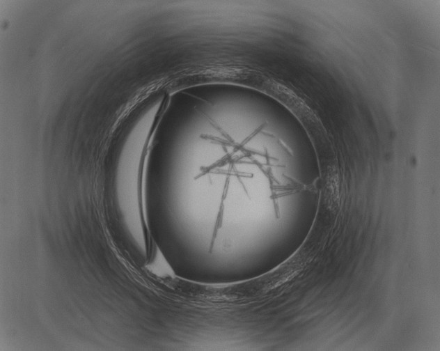 X0000082730734200702091837