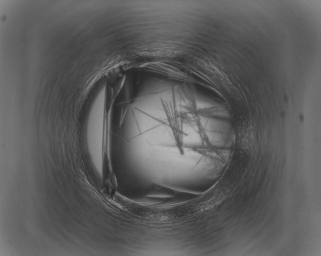 X0000082730735200702091837