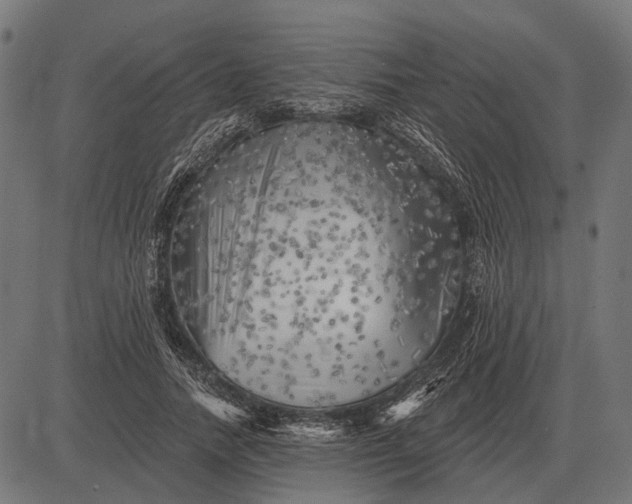 X0000082730738200702091837