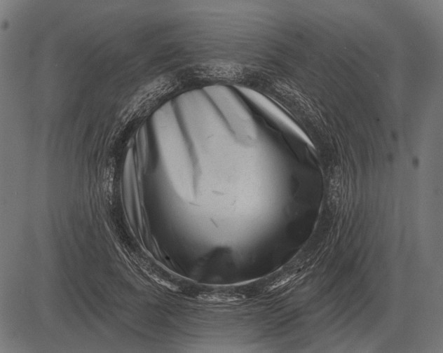 X0000082730739200702091837