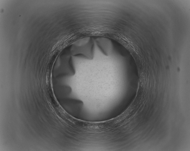 X0000082730740200702091837