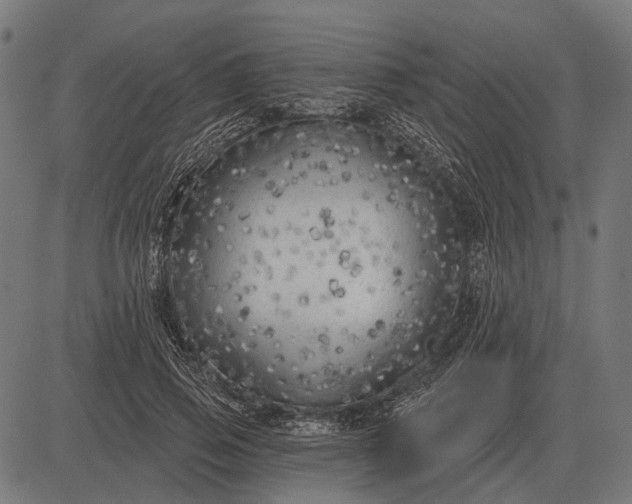 X0000082730741200702091837