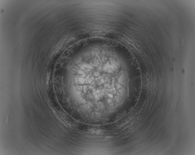 X0000082730742200702091837