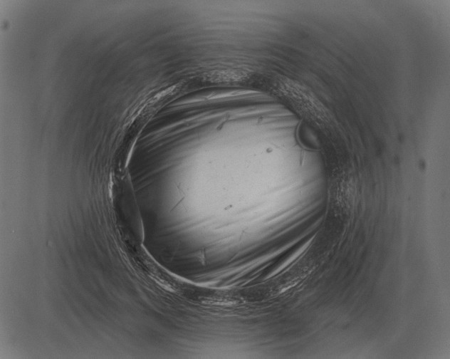 X0000082730743200702091837