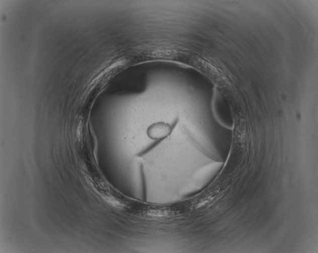 X0000082730744200702091837