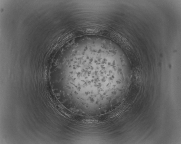 X0000082730745200702091837