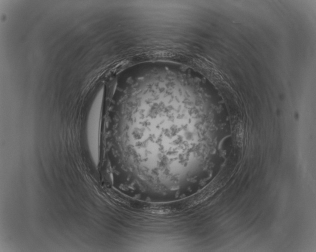 X0000082730746200702091837