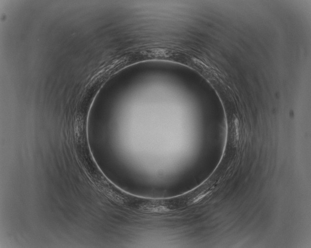 X0000082730747200702091837