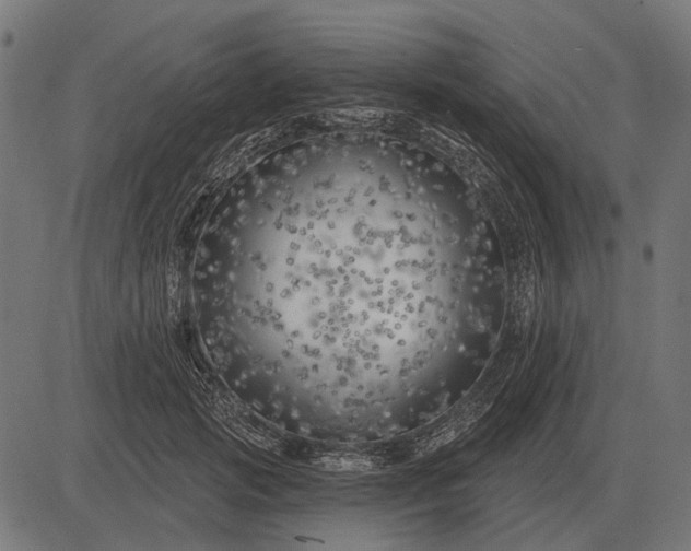 X0000082730749200702091837