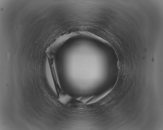 X0000082730750200702091837