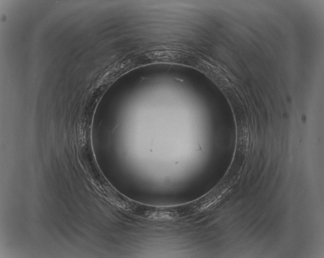 X0000082730751200702091837